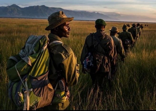 Ranger in field